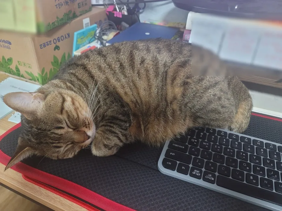 SE-00ccb122-5e8b-43ae-bafc-b6ffad23efa8.jpg?type=w1