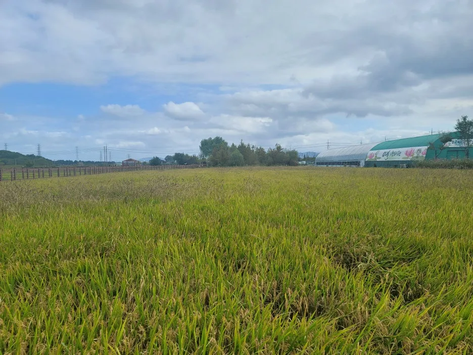 KakaoTalk_20251011_212922182.jpg?type=w1