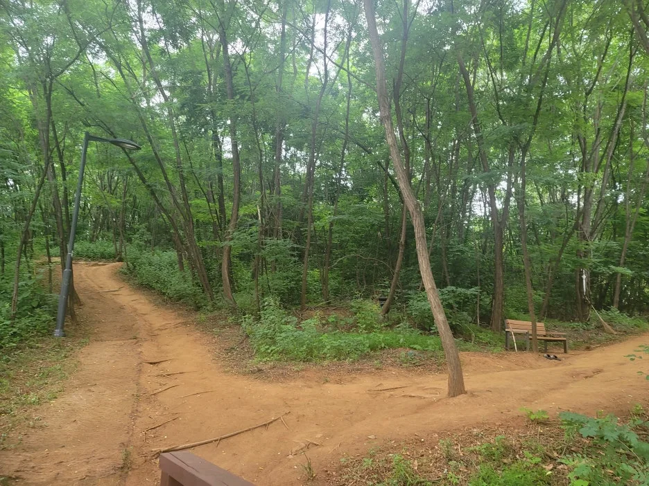 KakaoTalk_20250704_203314015_03.jpg?type=w1