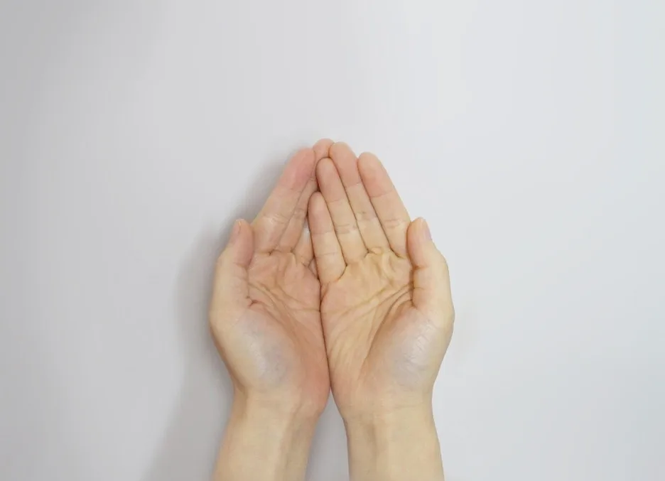 hand-506754_1280.jpg?type=w1