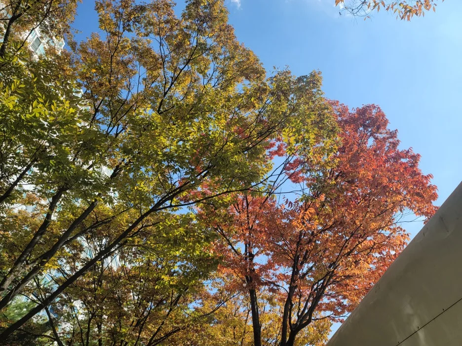 KakaoTalk_20251101_204940114_04.jpg?type=w1