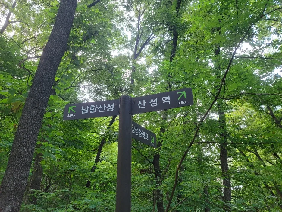 KakaoTalk_20250709_104719481.jpg?type=w1