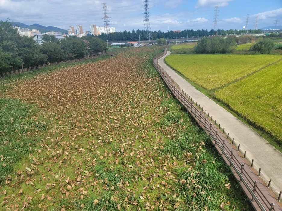 KakaoTalk_20251010_210521580.jpg?type=w1