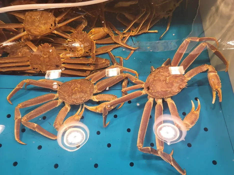 KakaoTalk_20251005_213432395_10.jpg?type=w1