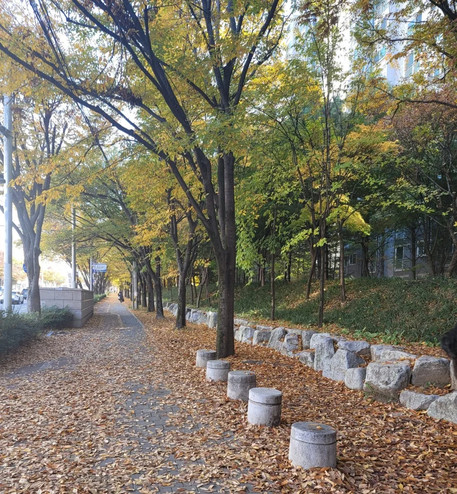 SE-c3f187f7-db06-4c05-aecd-fe437de0b3e7.jpg?type=w1