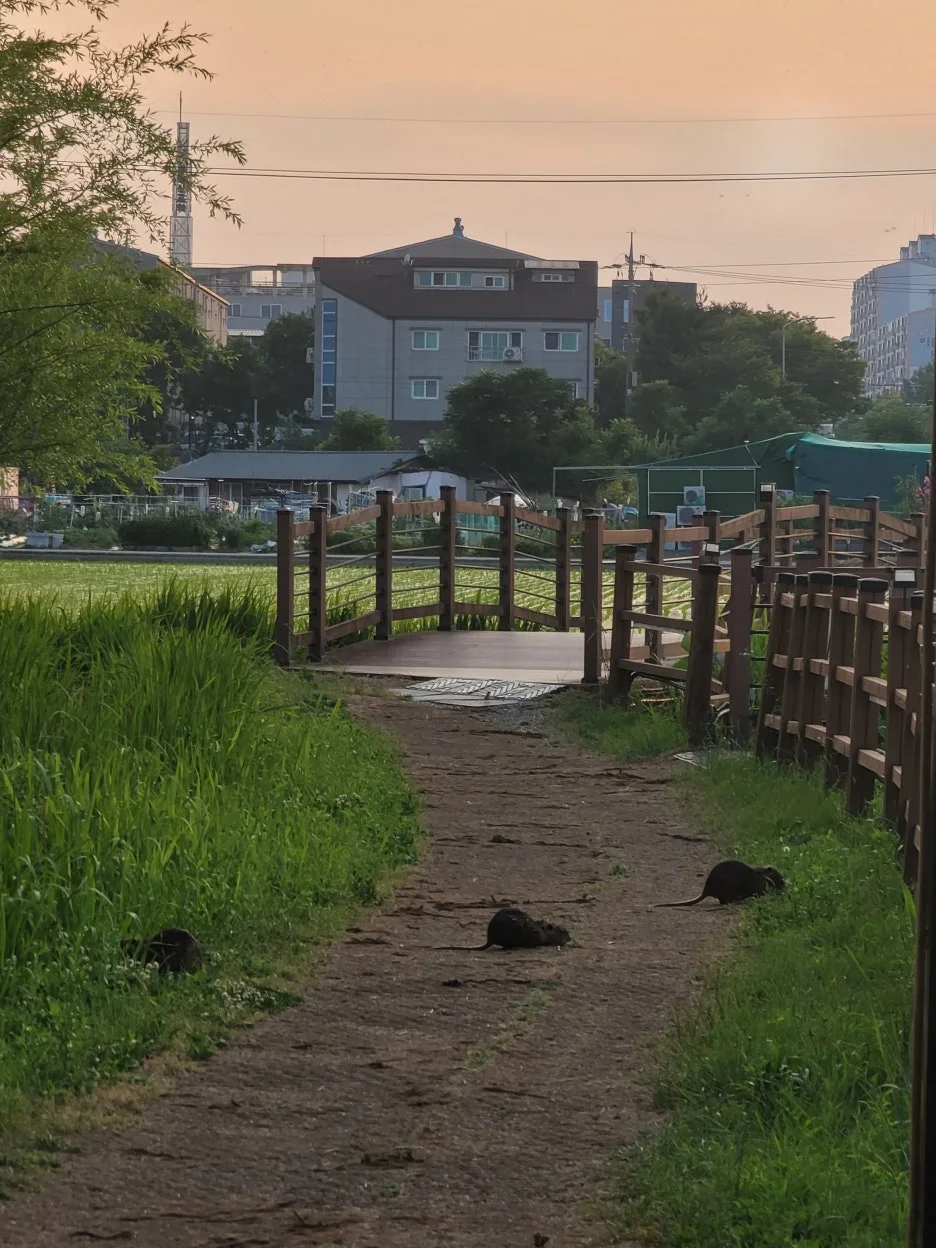 KakaoTalk_20250608_204439918_03.jpg?type=w1