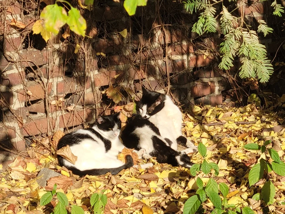 KakaoTalk_20251207_193335922.jpg?type=w1