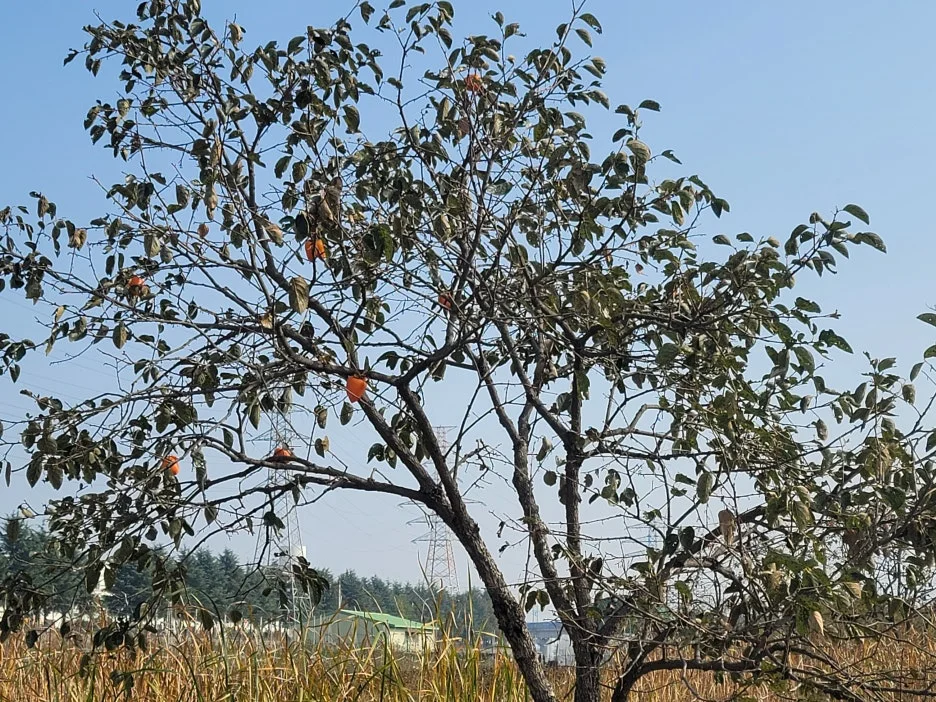 KakaoTalk_20251107_184611797_02.jpg?type=w1