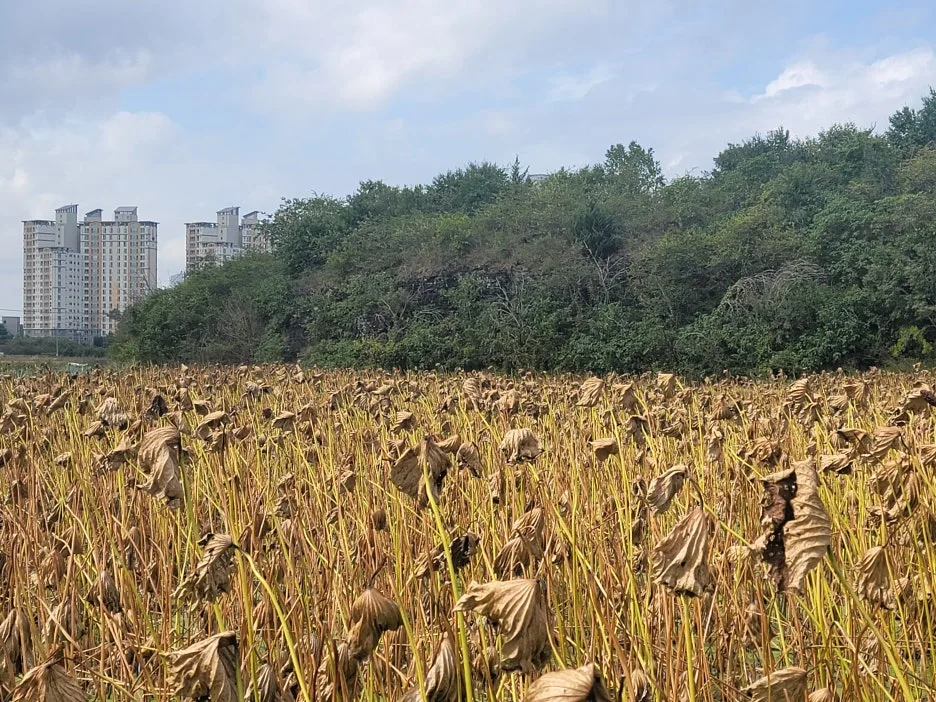 KakaoTalk_20251019_204310434_02.jpg?type=w1