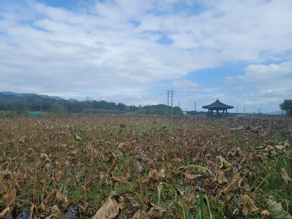 KakaoTalk_20251010_210521580_01.jpg?type=w1