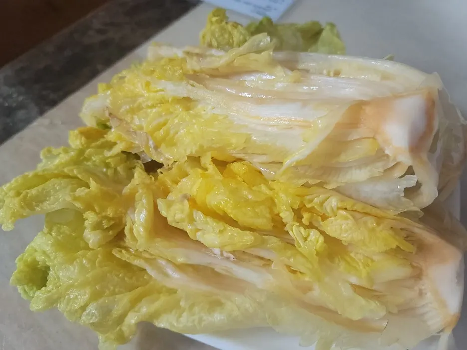 KakaoTalk_20251127_074153948_10_(1).jpg?type=w1