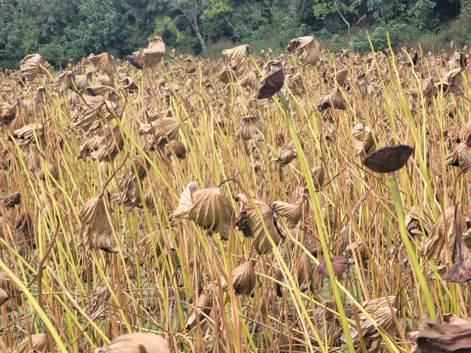 KakaoTalk_20251019_204310434_01.jpg?type=w1