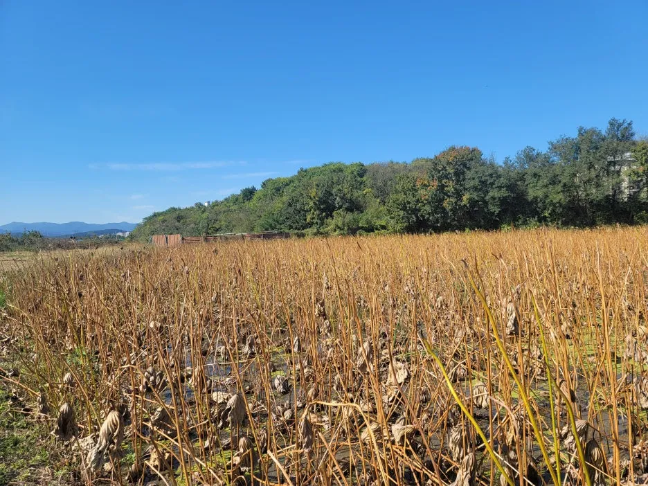 KakaoTalk_20251029_163900781_01.jpg?type=w1