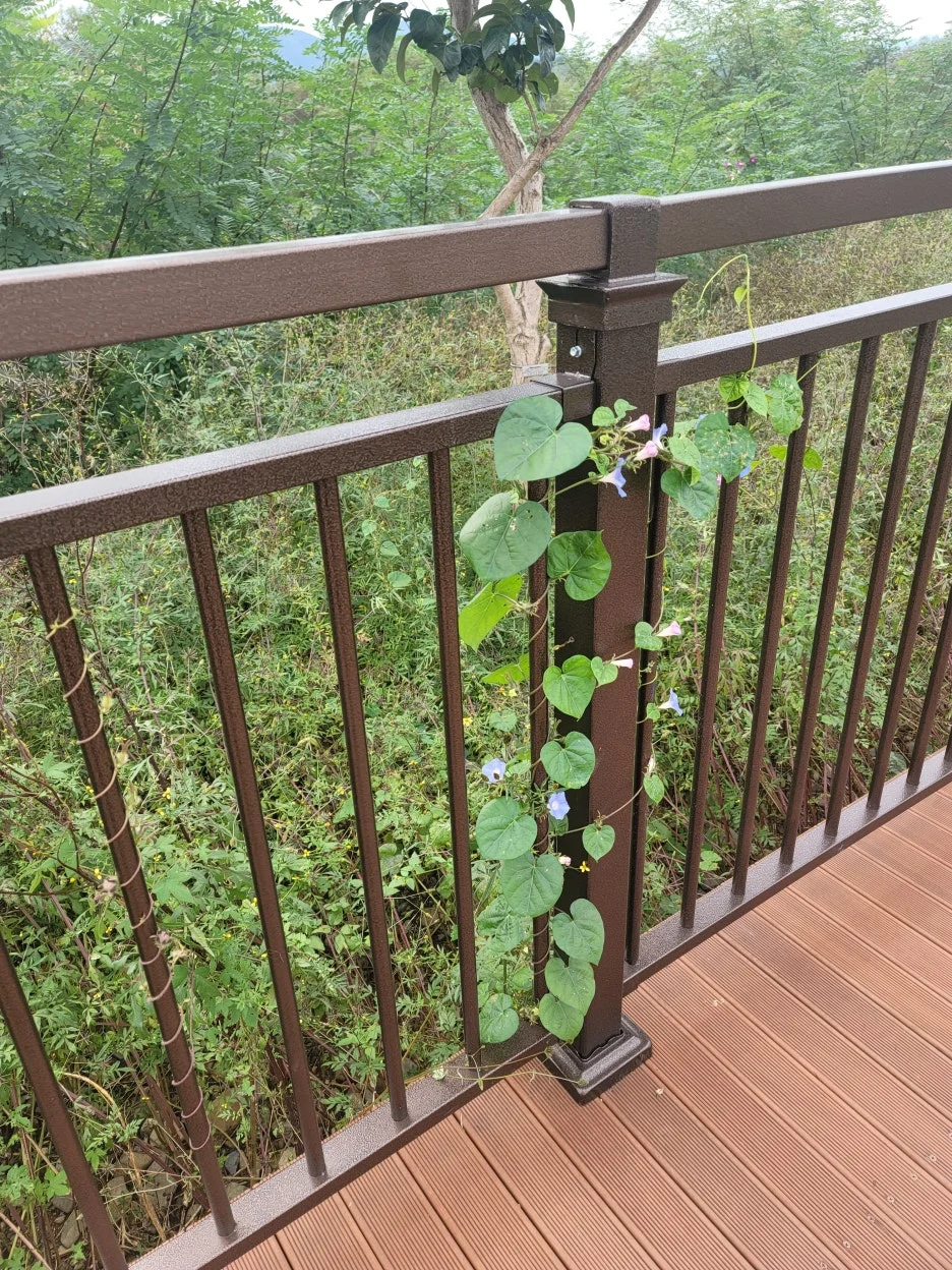 KakaoTalk_20251021_144342955_04.jpg?type=w1