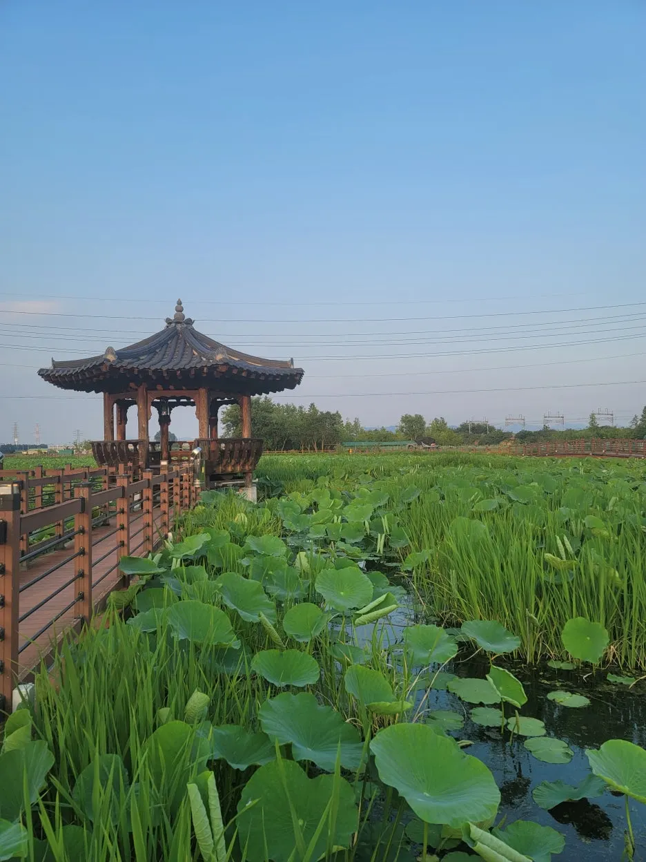 KakaoTalk_20250608_204439918_05.jpg?type=w1