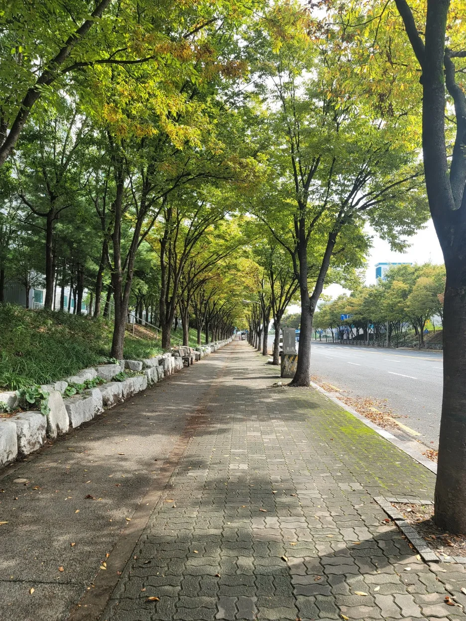 KakaoTalk_20251015_201913856.jpg?type=w1