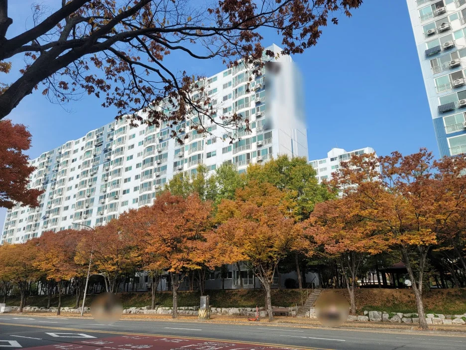 SE-35153e87-8f71-4206-badc-923234b38592.jpg?type=w1