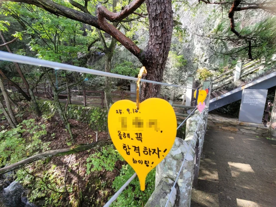 SE-14ac7de0-e40e-4003-a153-74eedf4531b5.jpg?type=w1