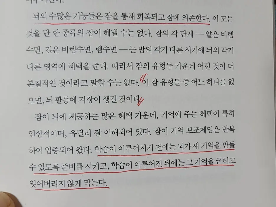 KakaoTalk_20251014_100154631_01.jpg?type=w1