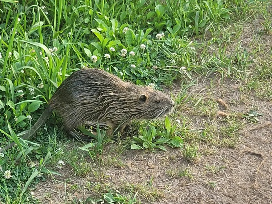 KakaoTalk_20250608_204439918.jpg?type=w1