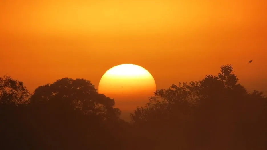 swamp-928907_1280.jpg?type=w1