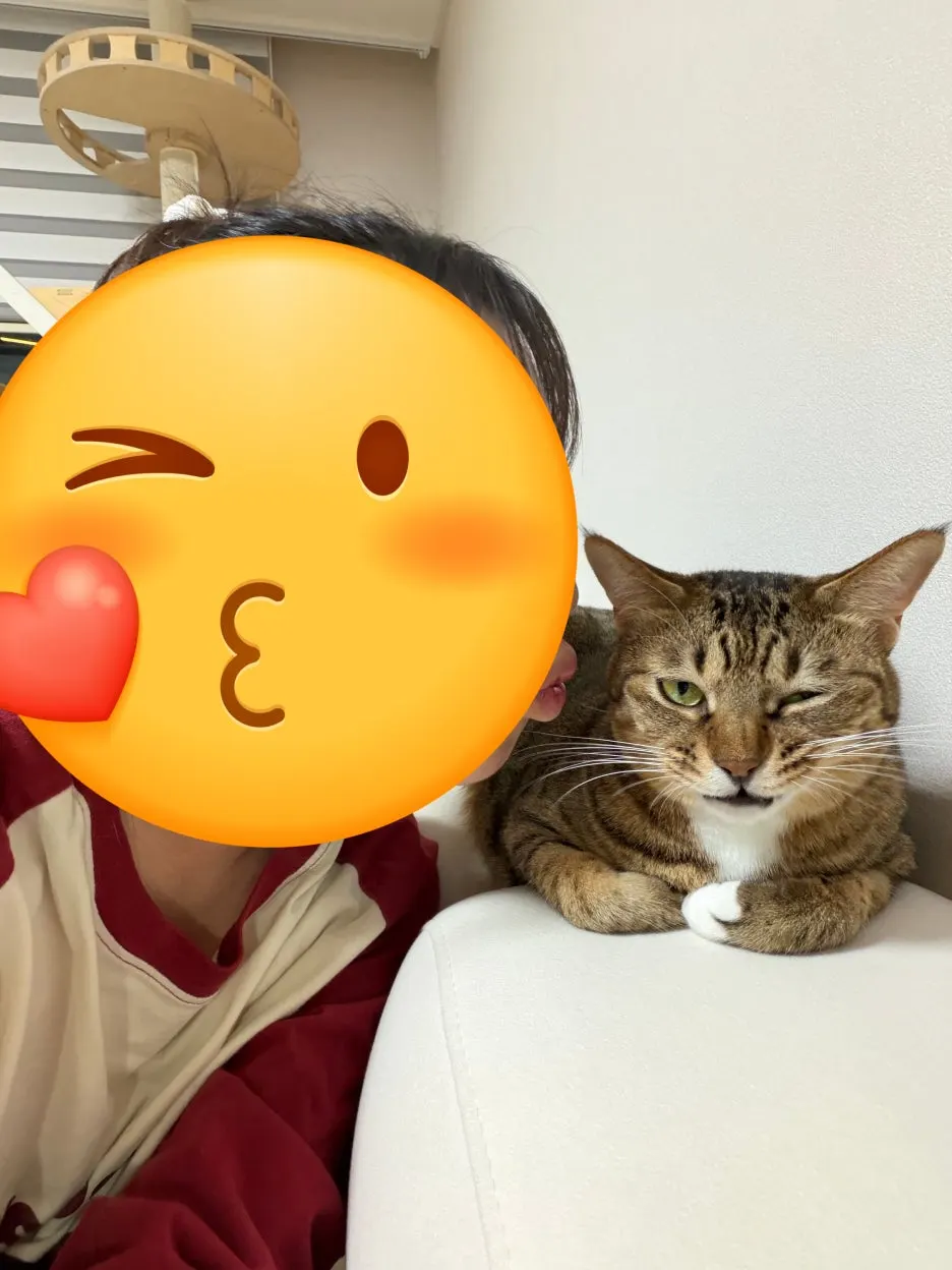 SE-d09d793c-cb4a-41b5-8cd7-86dcc4abe91d.jpg?type=w1