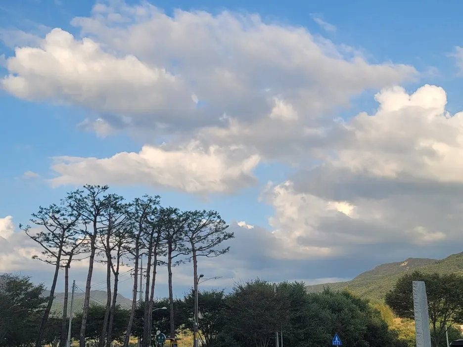 KakaoTalk_20251025_224800630_19.jpg?type=w1