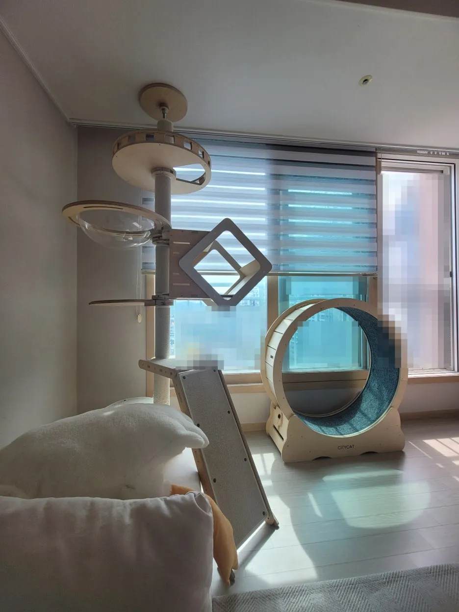 SE-0b62d114-b1a9-4fad-82e0-96a722b10818.jpg?type=w1