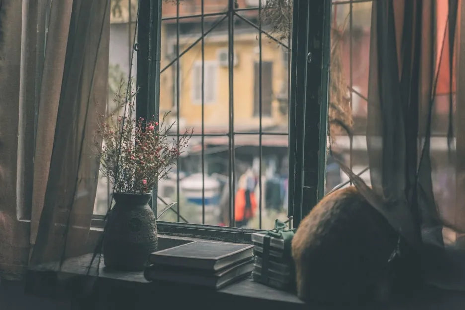 cat-5909978_1280.jpg?type=w1