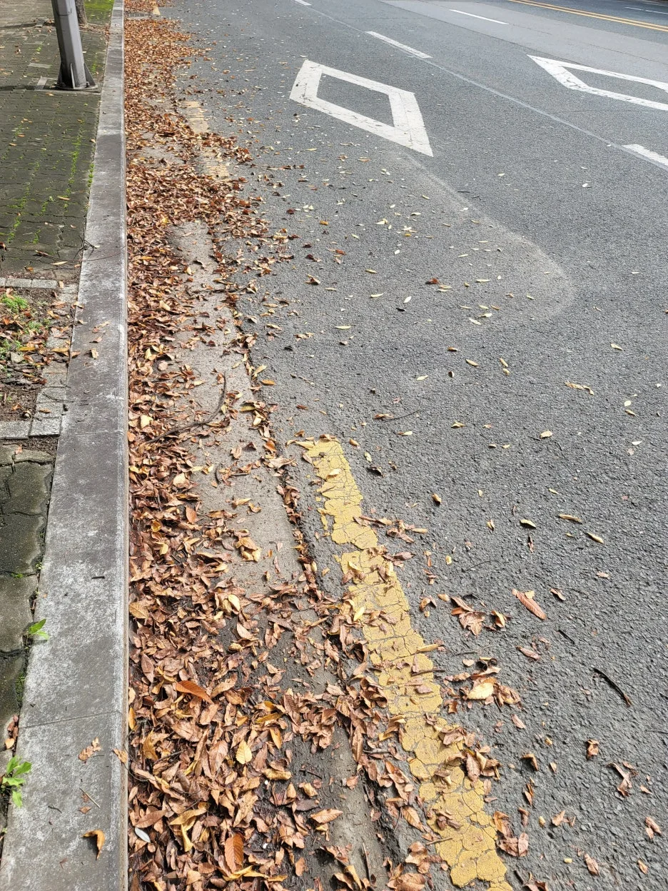 KakaoTalk_20251015_201913856_01.jpg?type=w1