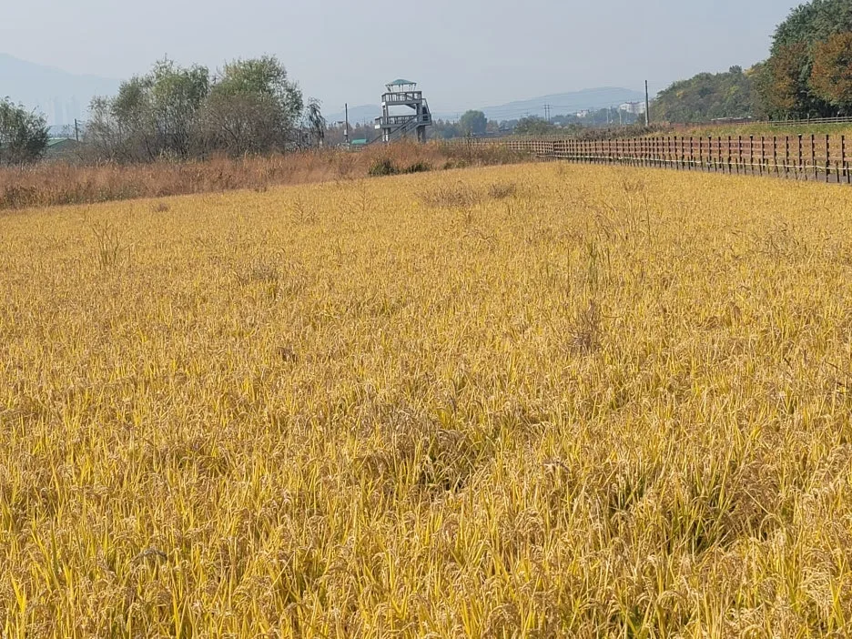 KakaoTalk_20251107_184611797_01.jpg?type=w1