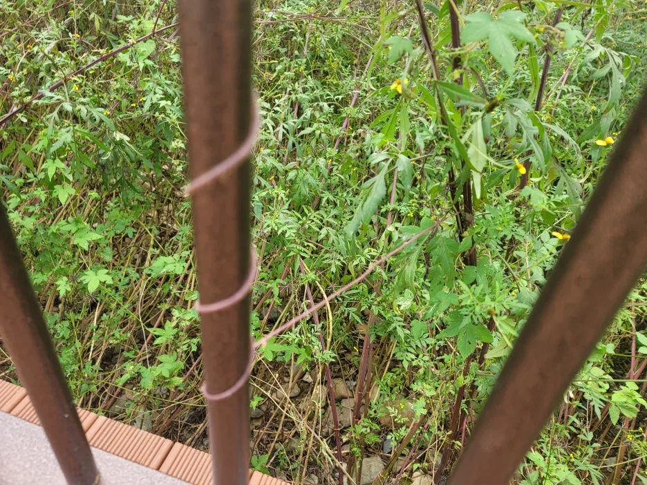 KakaoTalk_20251021_144342955.jpg?type=w1