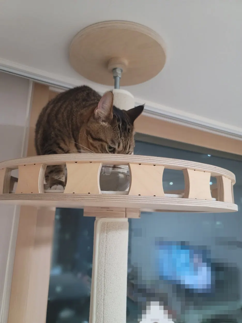 SE-22e75107-1653-41a6-9def-de63688c62b4.jpg?type=w1