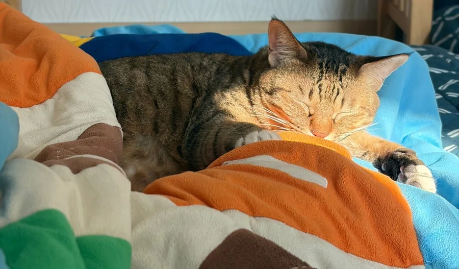 SE-c4af1b4a-3469-4ce0-b5a5-c4178ef982e6.jpg?type=w1