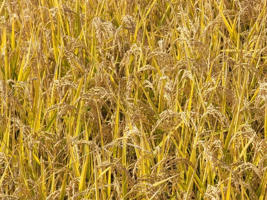 KakaoTalk_20251107_184611797.jpg?type=w1