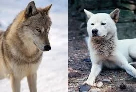 i_fg1Ud018svc1qzjrauveyl3_hgtudn.jpg?type=e1920_std