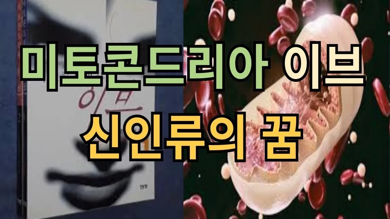 j_6f2Ud018svckdiafd78gd33_hgtudn.jpg?type=e1280_std