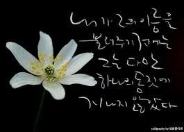 c_378Ud018svc119gd1ur0lgxo_hgtudn.jpg?type=e1920_std