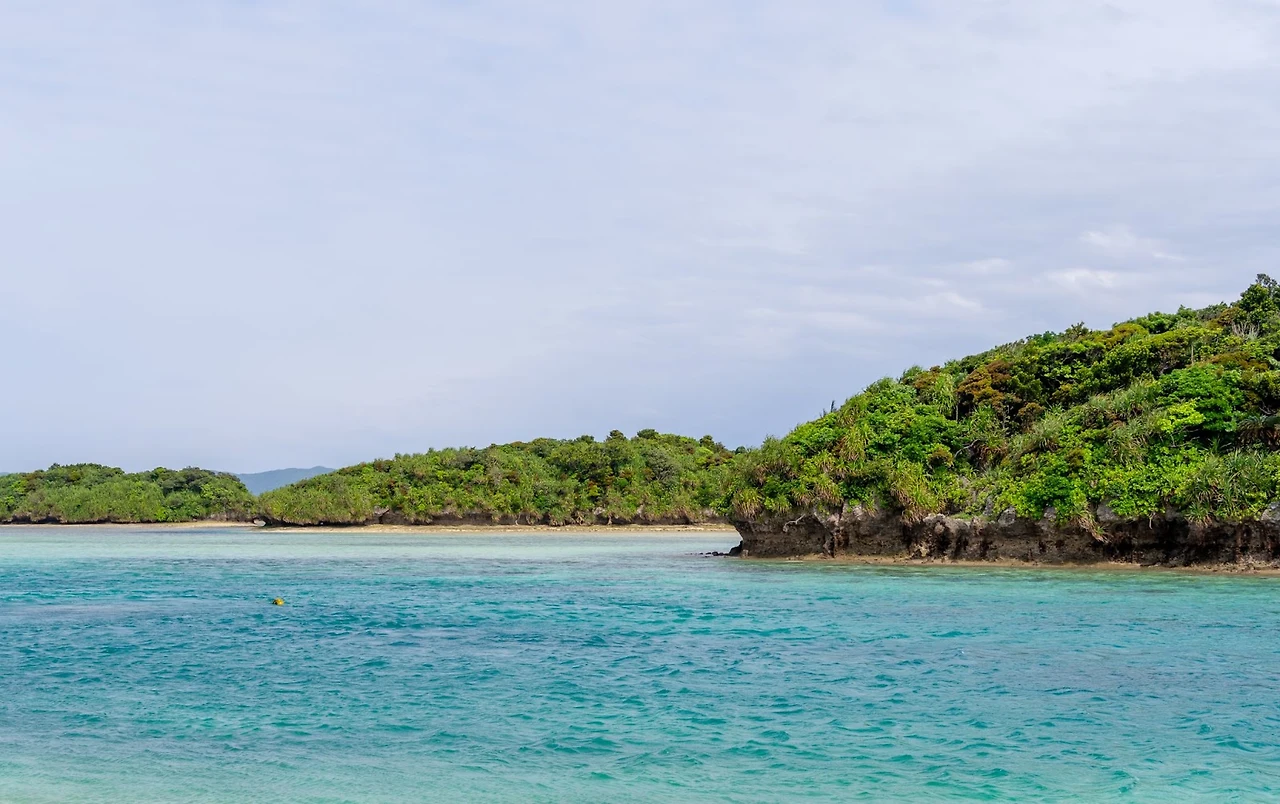 AD_4nXeaNWuuJ5haYYCQ1wpozIbOcgGPh2arbdIpU9IiilG3xTAd4QWzoYHH5E16kfhhqIbSFIXCw5j_FrDpG5ILLDtepsWo9ajX8F4MfM7LKXz-OZAnhR8ThUjQZZDrA-7ZXz0PvKbo?key=no2Ienb7MqGa4TE8uLF45OAD