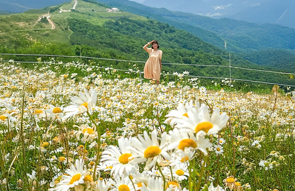 AD_4nXe9nL3esjbM23XKI2w3JimqQ3Uy147ln0eze29MTXTTYom4VPcl1uNKcrDtrR-7AKn2t5Ln91EURyvHkaZal2-0wSt_lRYZiq071elngho1R-ACVcNlDJ5caYDoYT22yY7wLHRrEQ?key=npbHg1R0fhR_o-3Km7W2lg