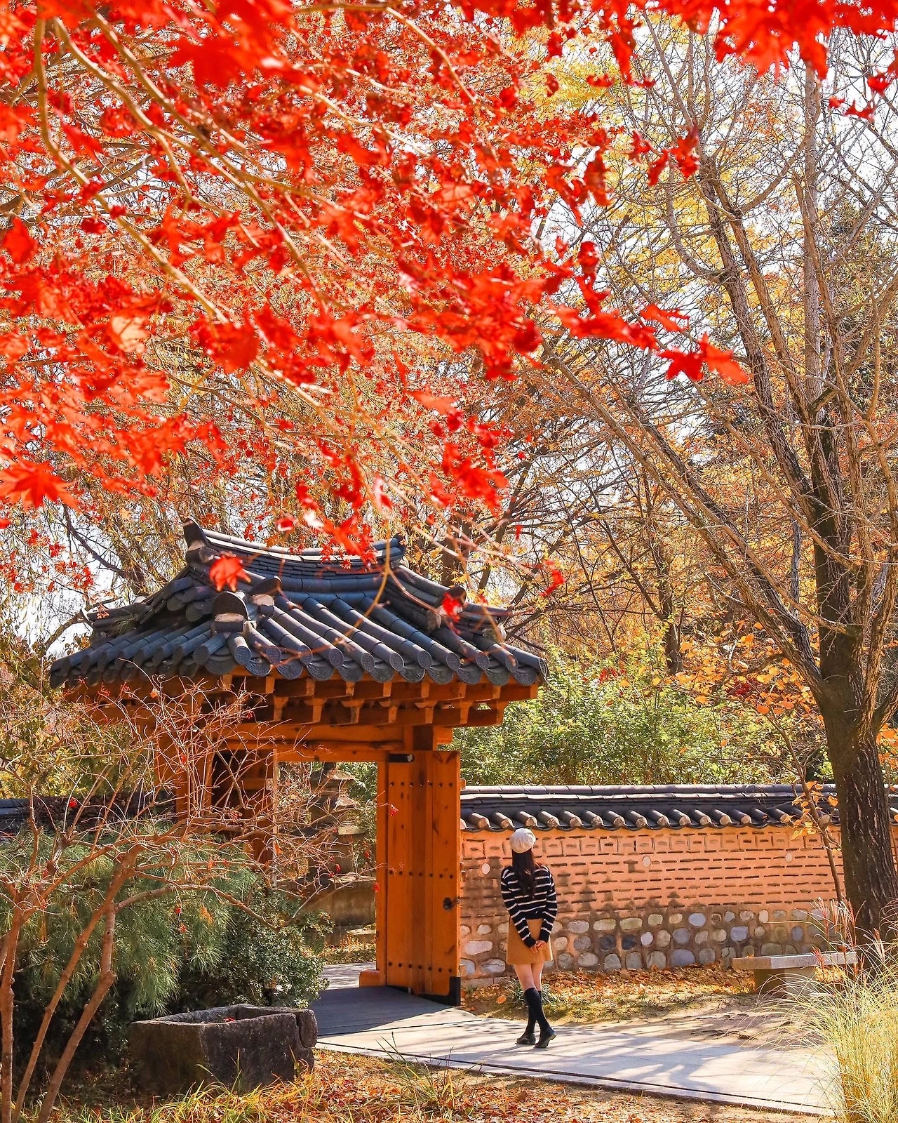 KakaoTalk_Photo_2024-09-07-17-35-25 005 (1).jpeg