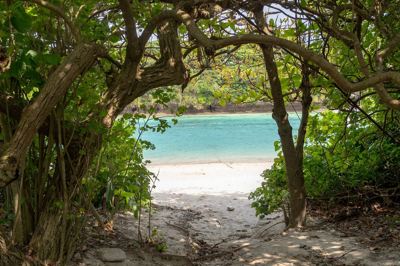 AD_4nXf9_5uymjxHNH2qPoPbVdH82sOhKpV1NczluqqfWcQun1bcLgHaFgdf6V3N0oqVrWF2DkvWLaFD0BjEMDLveCP7nSMoVTRi2VEKZ8cCqNoIjVHTwABRDVqckOQk7jkSgR9bdh0DYA?key=no2Ienb7MqGa4TE8uLF45OAD