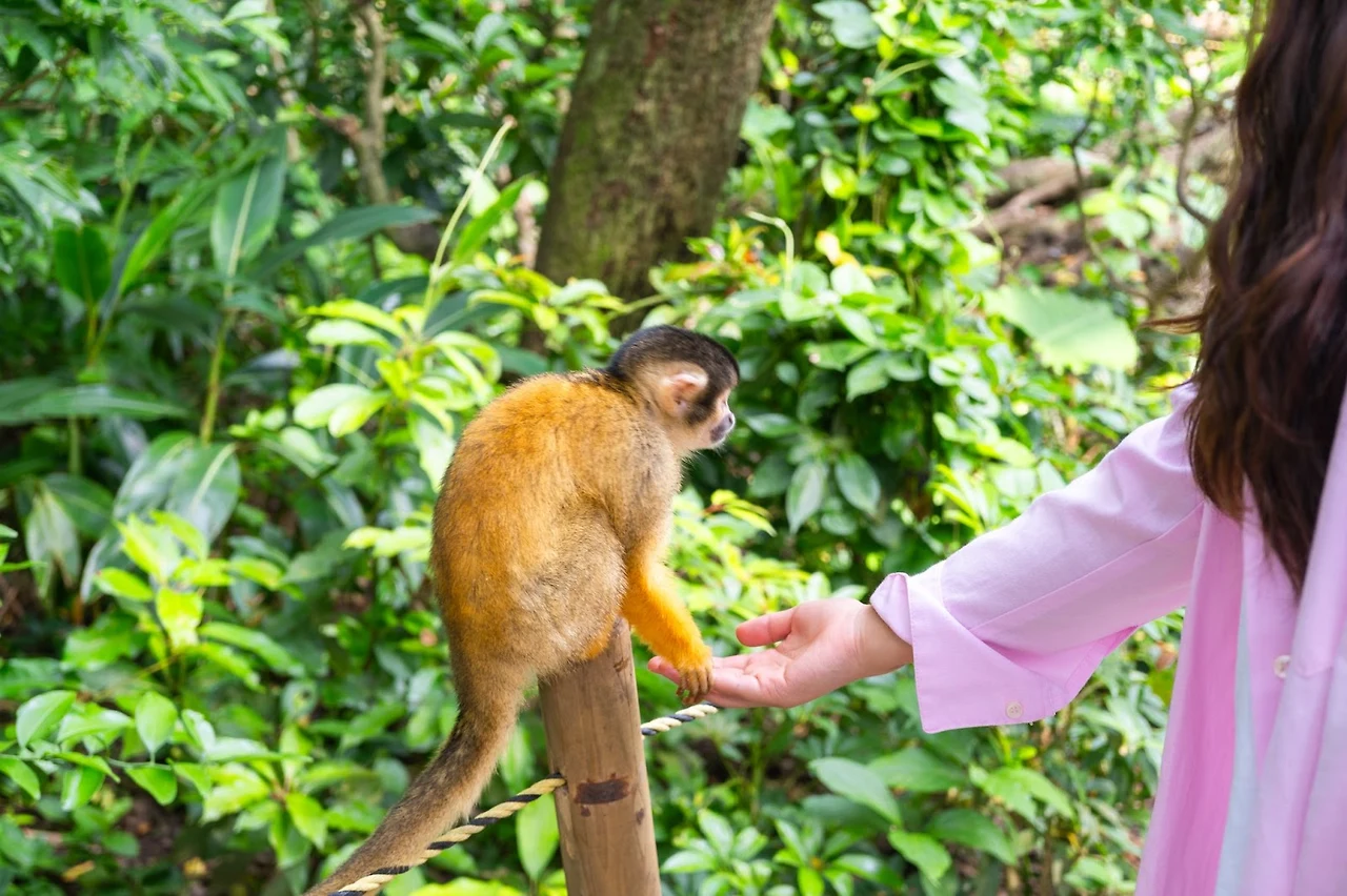 AD_4nXemcC1bqxD7-wGunS38ieL1qVISE4zGak2I-ir7ZEQxpScYafEgAal3P9MrLYT4vme_xuf_wRQ1efrA60EnODbRSKfS6D1JUE_koHOg6sj7hn3I5eBkIABxDbW9voTFxKrVUyGE-Q?key=no2Ienb7MqGa4TE8uLF45OAD