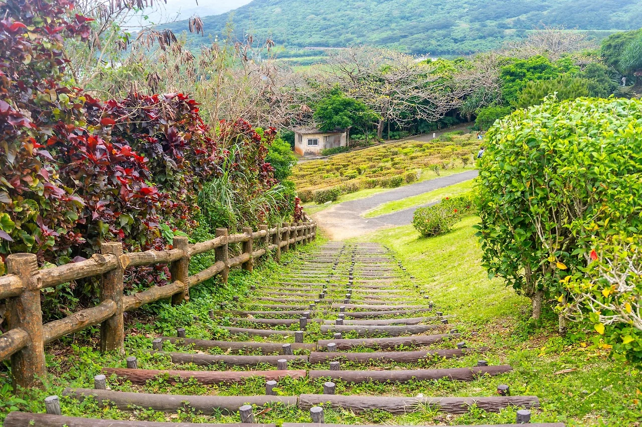 AD_4nXfNVtNEWBVfpnUXEpbqGZXaCutS75K7SbmWUJGG7VP3A9HSCvD6pSoOhWETwY-EB5V63yuOuW-P7RwO5YrbKyI0cQ7ZRfRcxO0MBdY3SOZ2SYN6CTPmpzMmrJIEA50tO-14Vxdn?key=no2Ienb7MqGa4TE8uLF45OAD