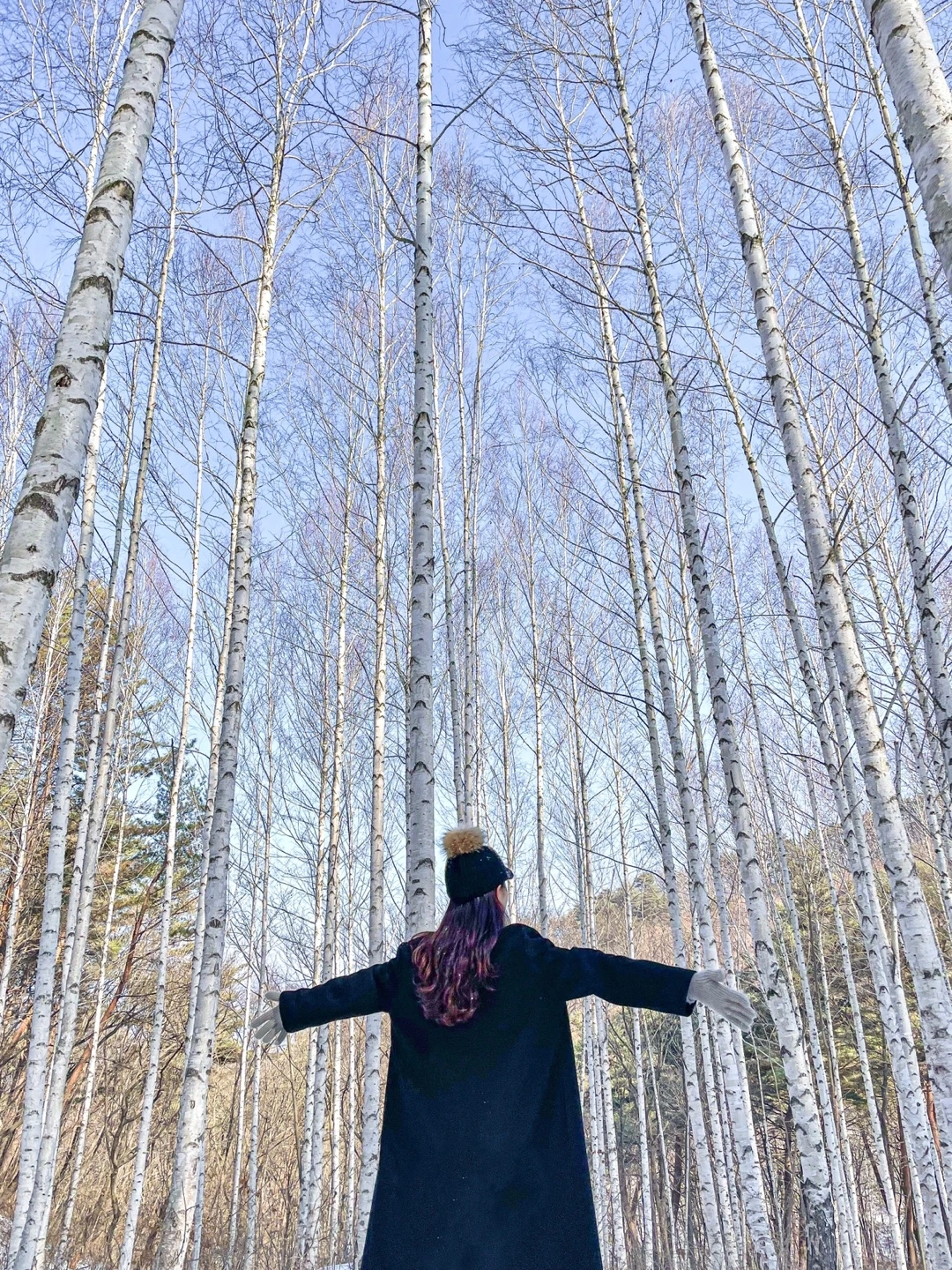 KakaoTalk_Photo_2023-01-01-23-43-59 002.jpeg