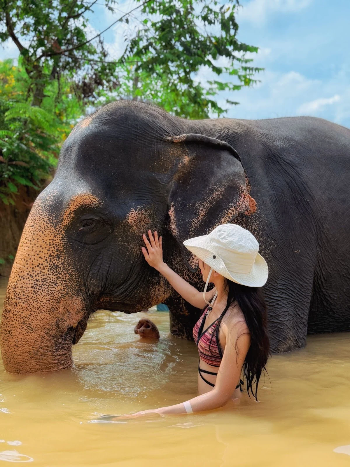 AD_4nXdVUdzyY0xYcr5Z4Ja9LKDBKqg5tn9y6TnKLjBvvs5nVXIK8Vbu1MUmC52-K35TOof6maNLVdmt6fo6hgaJWbn2gM_v1usMNAm7B6VWCfBDVztJ0FlB3MV_dORYT_shOlYGNV4TmA?key=9UnKGKTTNTZELUqIVFfCgg