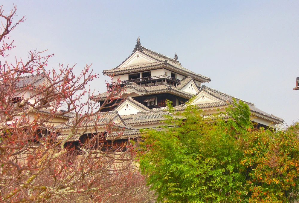 AD_4nXeexhVs2genTDprfGsp9679zAEATx81nf80CyMDgwm890T69sQW0mJcWrQls1YCx4BeAKC7gX-GAMoZT-bX6fREZbZQ6NtmT8ZBGhC06bOiPExQC_xoctry61DjRq3AeTl-S_Ir-A?key=2jVUJZszhFMAk4d4mCesOZci