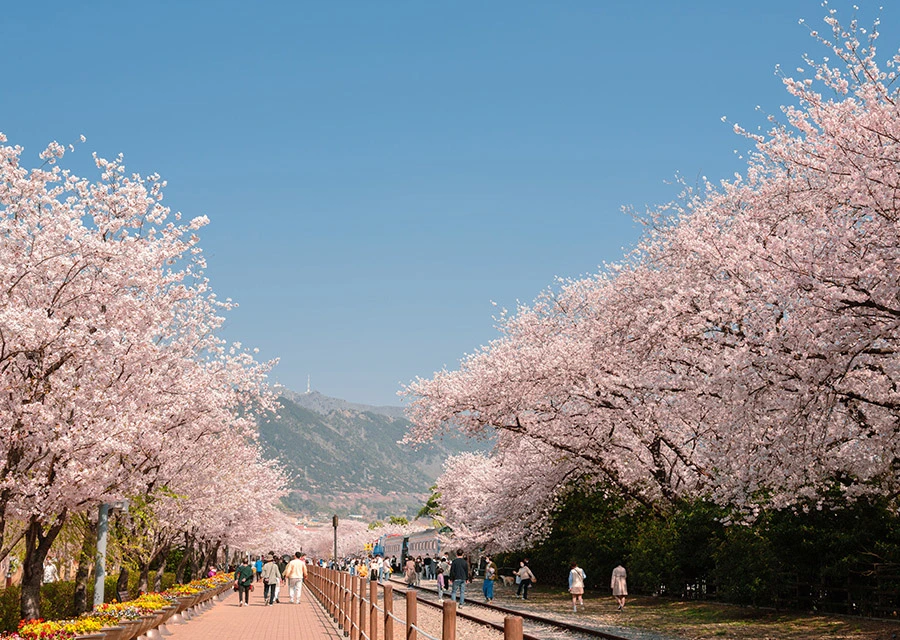 AD_4nXckIo3GJjrFcUqSWOziKPo5QHRmn1pO3Gp9fk_C2XaVnPuTqqv6ajp6RCJoVBI1QlyRhqvevlFZdoVcjy7wtsrTPQnVYt92vO8dPlafGmbzC9VuHkbp4bPal0Vyd5CmZCfO_fBwQw?key=fnsJTpEm4Zubfd0ePI8AEREY