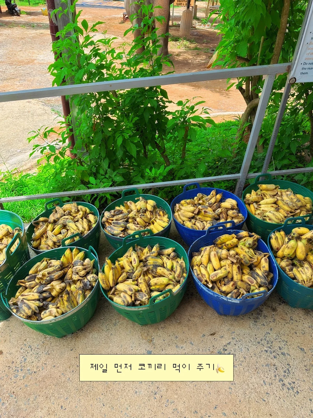 AD_4nXdpf3LwcGVxy-POGWjV7RhaTsQOP3361lGuusYV2LLwGH5nzOSQ_Cm5aR6x8N4Yi3pKYwOSUP_7LL0bhtEEInP_mKzNDg7wHxlMc4QpDFDKVQO6o1gzJU-gSpgqktzggJ3FKCmx?key=9UnKGKTTNTZELUqIVFfCgg