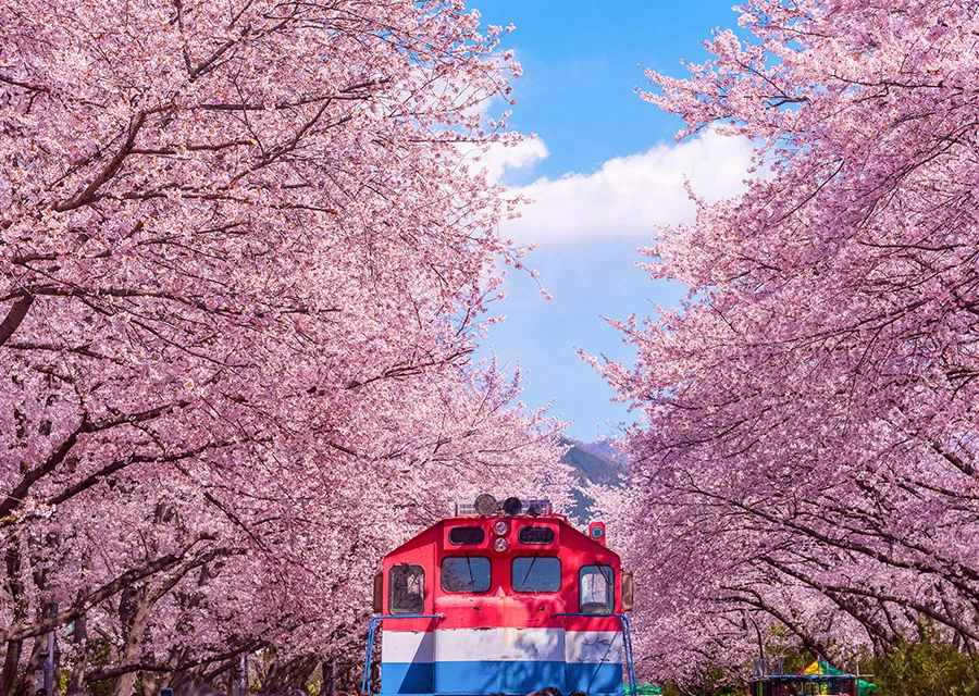 AD_4nXeby7o46iZOw2vzxJ--EwTzK87Jb8yccvkTI2KKB054rzCvul3prMGtoQg4BDejiDOKENCOZSzxxdsL1d8kvHQFNEqpHEiQi9shJU1QbzuNqH2HWacWy_nJYdnAELVTa_JohIApOA?key=fnsJTpEm4Zubfd0ePI8AEREY